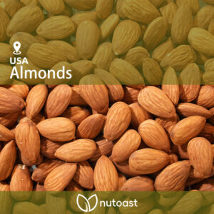 Nutoast Wholesale Premium Almond Kernels, Roasted