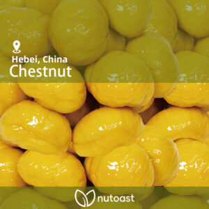 Nutoast Wholesale Premier Chestnut Kernels, Roasted