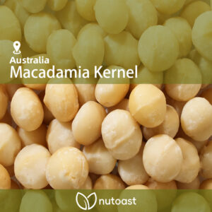 Nutoast Wholesale Macadamia Kernel, Raw