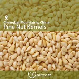 Nutoast Wholesale Pine Nut Kernels, Raw