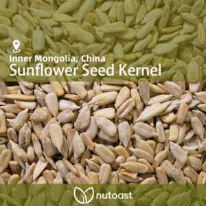 Nutoast Wholesale Sunflower Seed Kernel, Raw