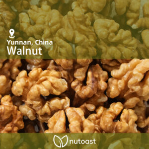 Nutoast Wholesale Walnut Halve, Raw
