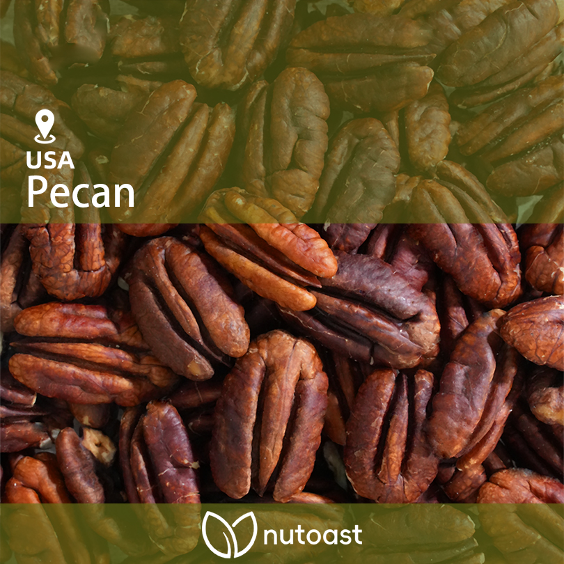 Nutoast Wholesale Premier Pecan, Roasted