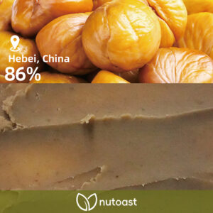Nutoast Wholesale Sweet Chestnut Puree