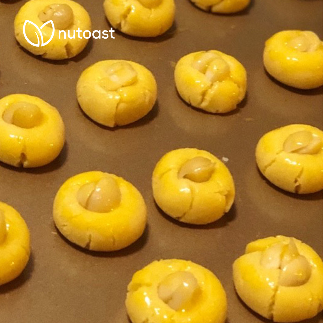 Nutoast Wholesale Macadamia Kernel, Raw - Image 3