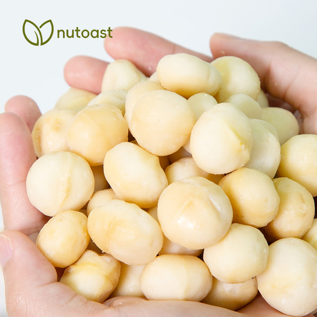 Nutoast Wholesale Macadamia Kernel, Raw - Image 2