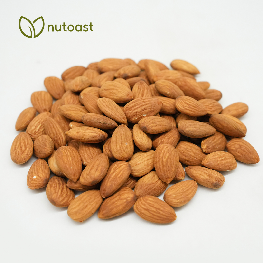 Nutoast Wholesale Premium Almond Kernels, Roasted - Image 2